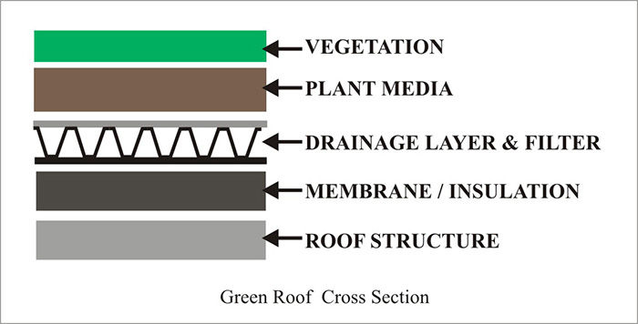 Green Roof Cross Section